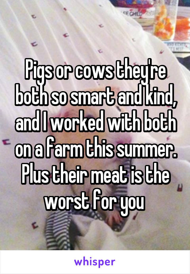 Pigs or cows they're both so smart and kind, and I worked with both on a farm this summer. Plus their meat is the worst for you 