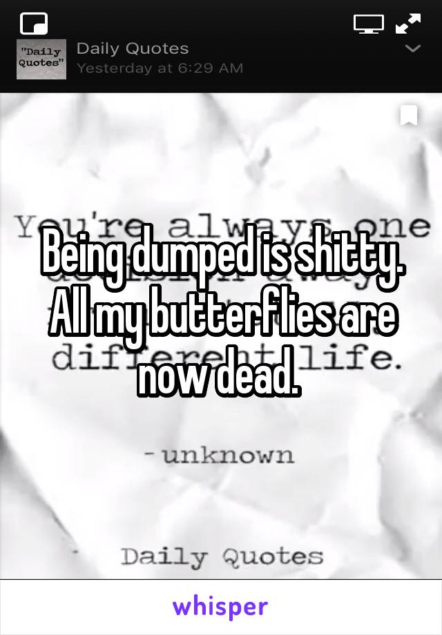 Being dumped is shitty. All my butterflies are now dead. 