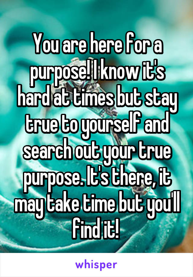 You are here for a purpose! I know it's hard at times but stay true to yourself and search out your true purpose. It's there, it may take time but you'll find it! 