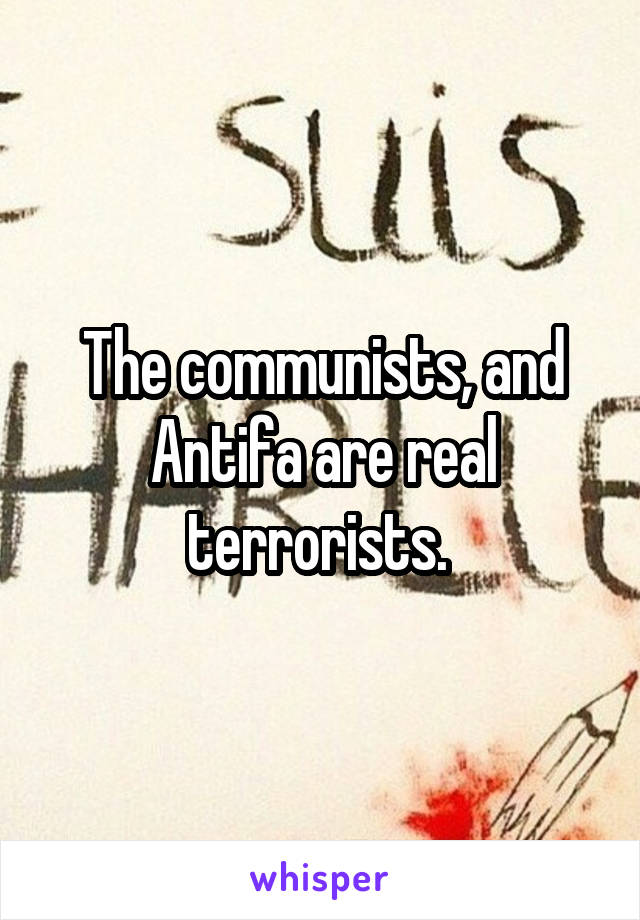 The communists, and Antifa are real terrorists. 