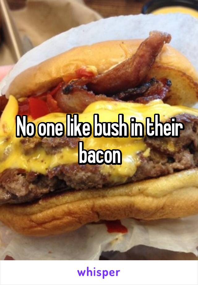 No one like bush in their bacon
