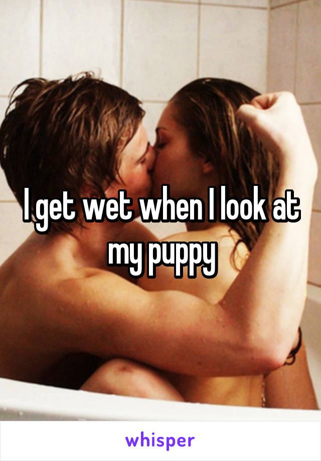I get wet when I look at my puppy