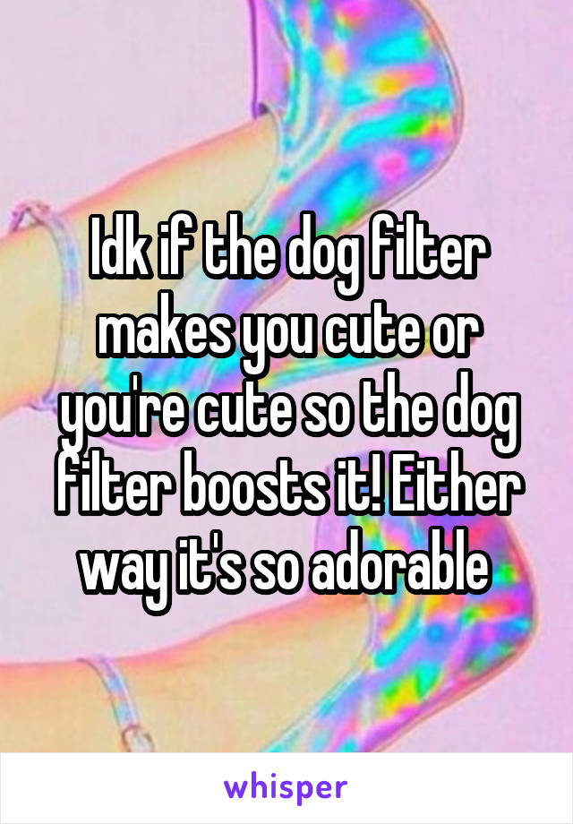 Idk if the dog filter makes you cute or you're cute so the dog filter boosts it! Either way it's so adorable 
