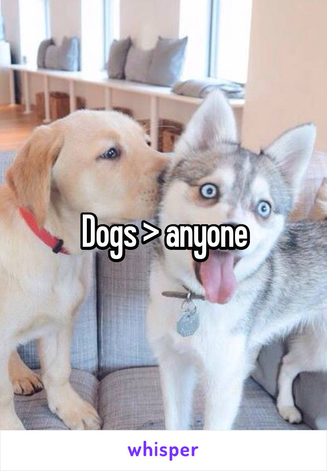 Dogs > anyone