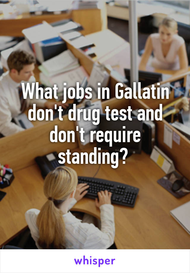 What jobs in Gallatin don't drug test and don't require standing? 
