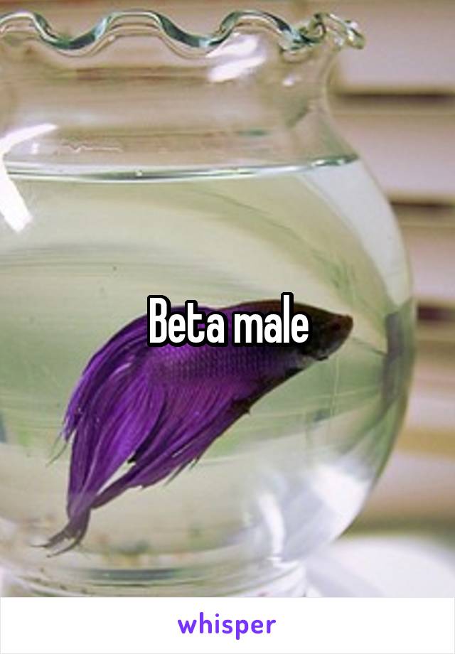 Beta male