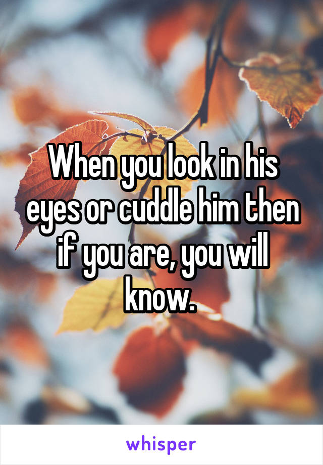When you look in his eyes or cuddle him then if you are, you will know. 