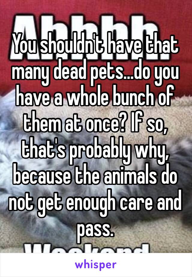 You shouldn't have that many dead pets…do you have a whole bunch of them at once? If so, that's probably why, because the animals do not get enough care and pass.