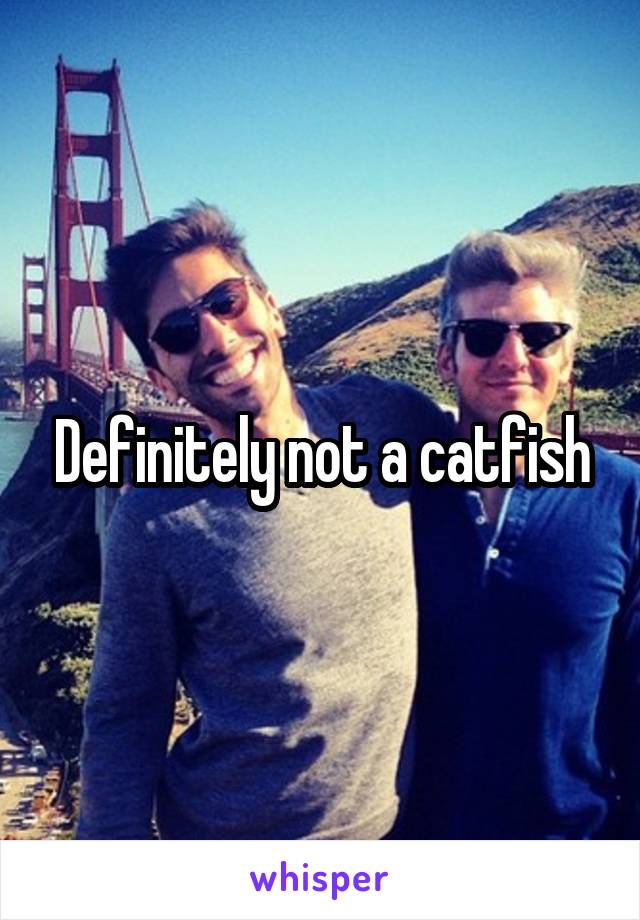 Definitely not a catfish