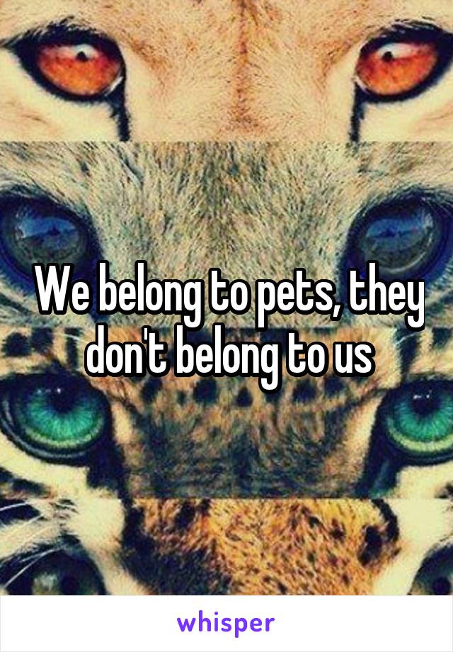 We belong to pets, they don't belong to us