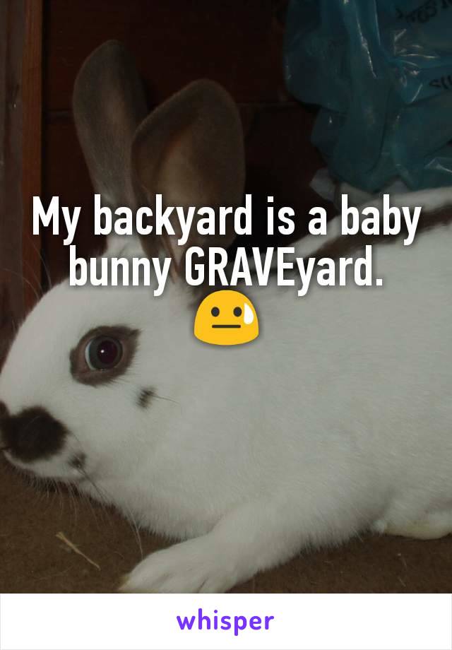 My backyard is a baby bunny GRAVEyard.
😓