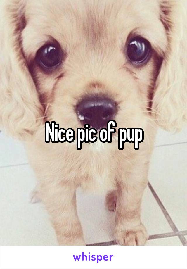 Nice pic of pup