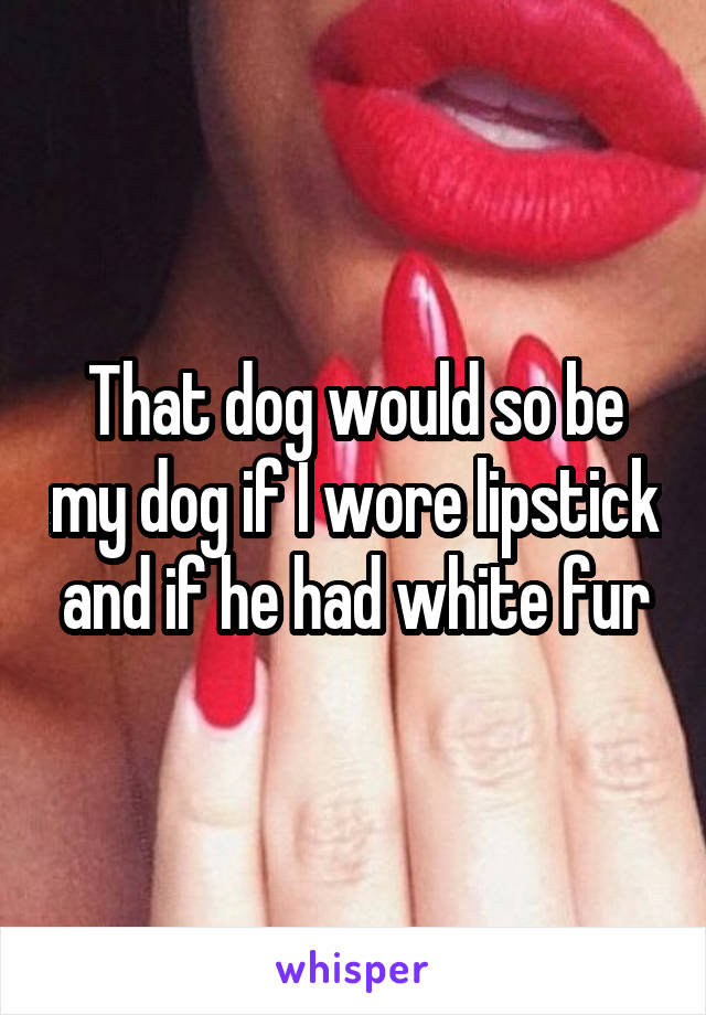 That dog would so be my dog if I wore lipstick and if he had white fur