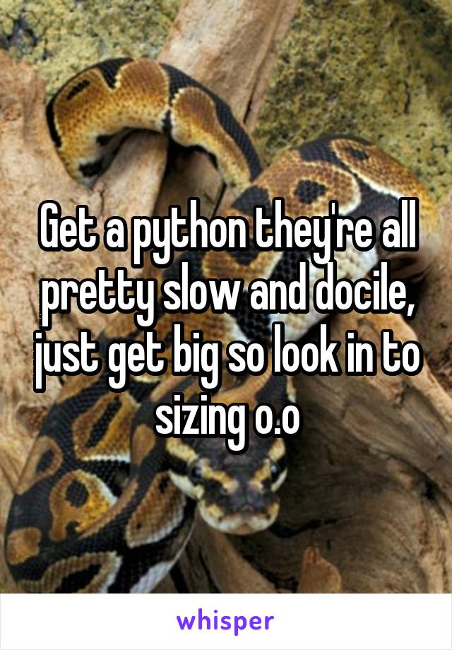 Get a python they're all pretty slow and docile, just get big so look in to sizing o.o