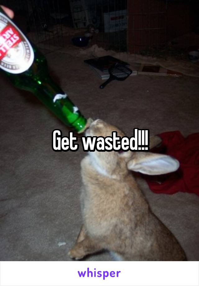 Get wasted!!!