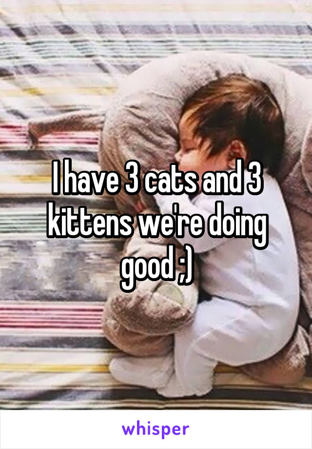 I have 3 cats and 3 kittens we're doing good ;)