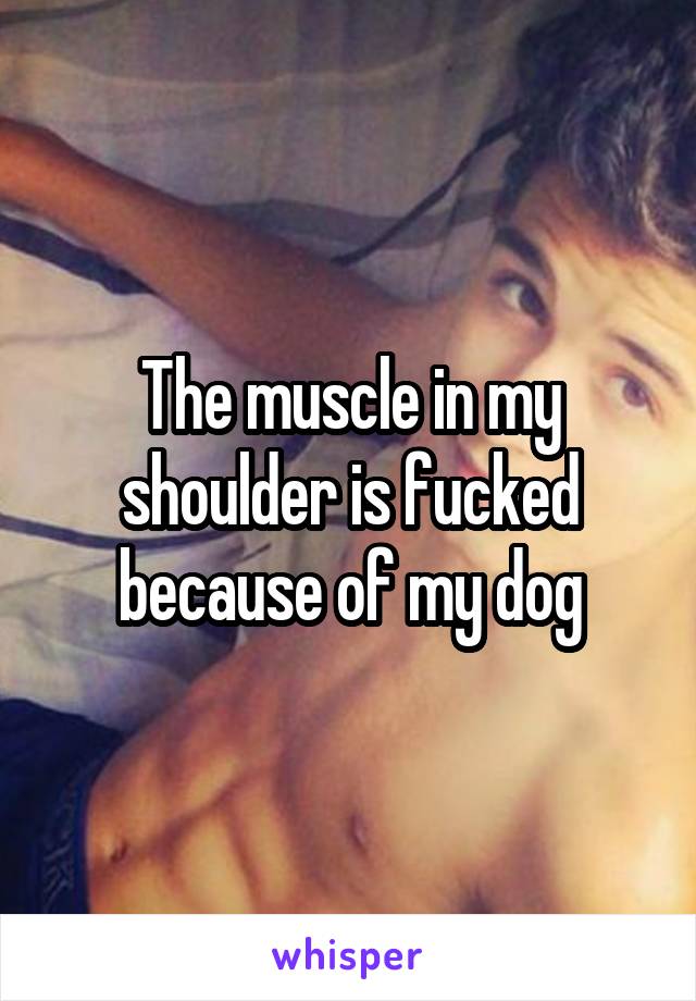 The muscle in my shoulder is fucked because of my dog