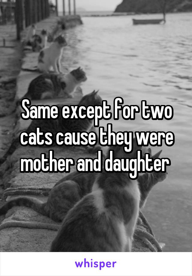 Same except for two cats cause they were mother and daughter 