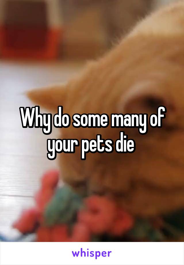 Why do some many of your pets die 