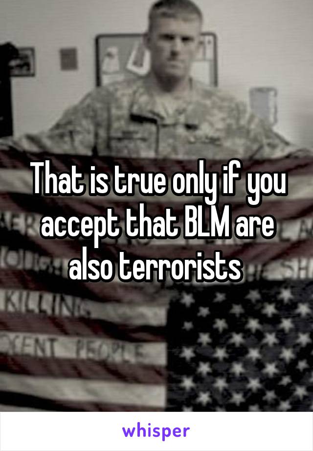 That is true only if you accept that BLM are also terrorists 