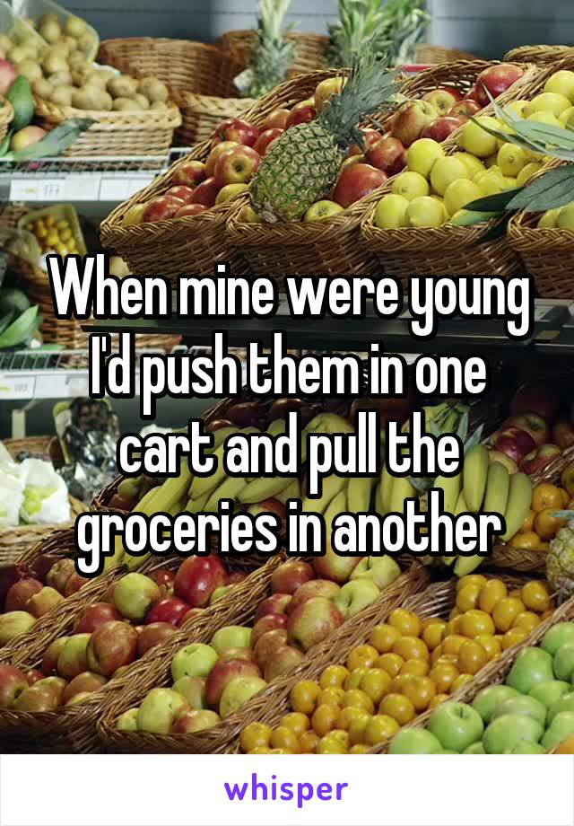 When mine were young I'd push them in one cart and pull the groceries in another
