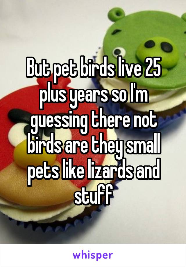 But pet birds live 25 plus years so I'm guessing there not birds are they small pets like lizards and stuff