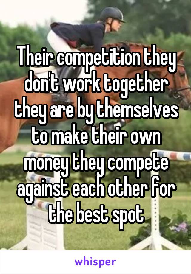 Their competition they don't work together they are by themselves to make their own money they compete against each other for the best spot