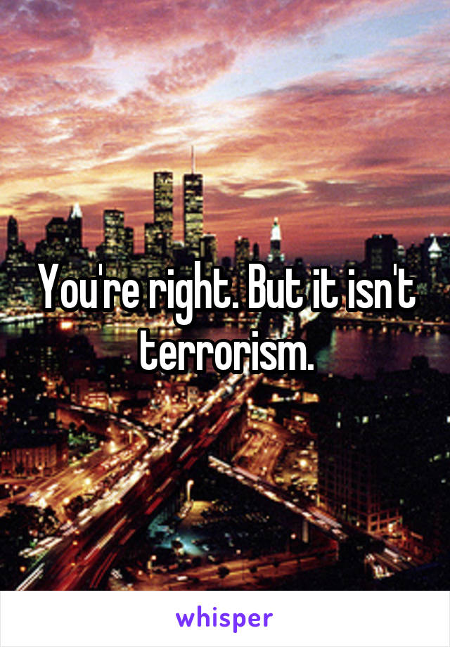 You're right. But it isn't terrorism.