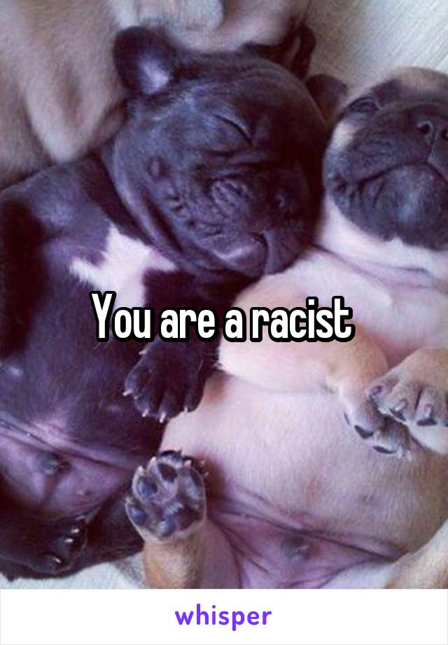 You are a racist 