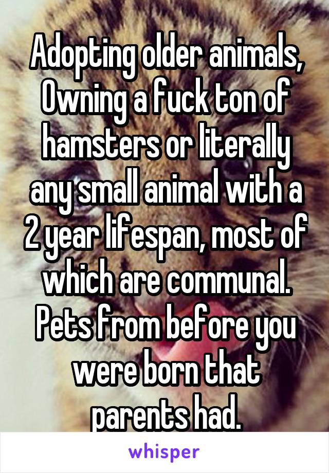Adopting older animals,
Owning a fuck ton of hamsters or literally any small animal with a 2 year lifespan, most of which are communal. Pets from before you were born that parents had.