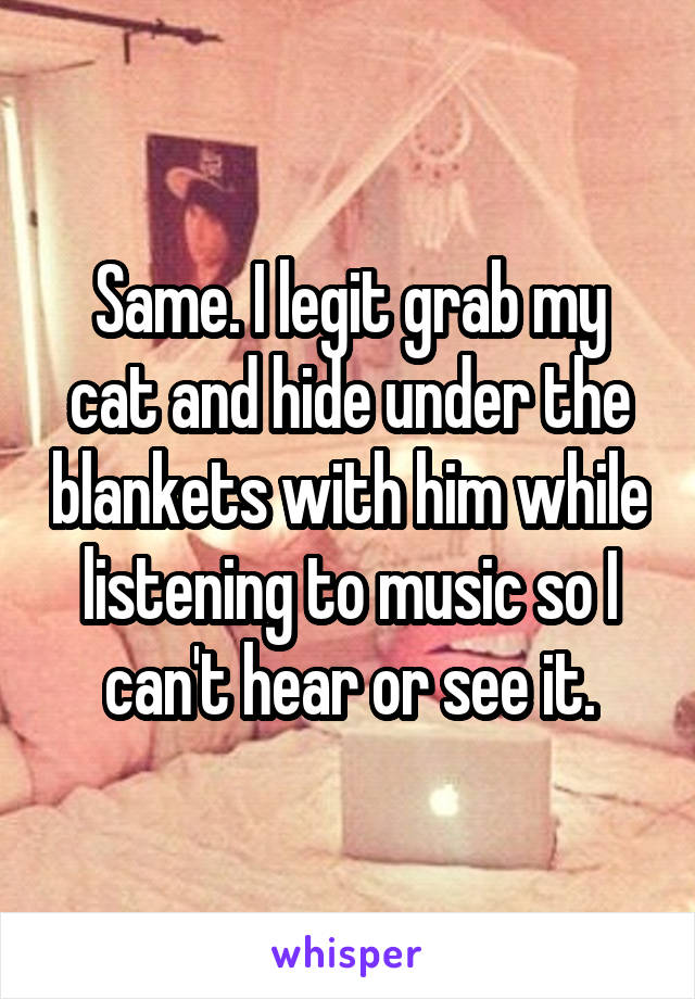 Same. I legit grab my cat and hide under the blankets with him while listening to music so I can't hear or see it.