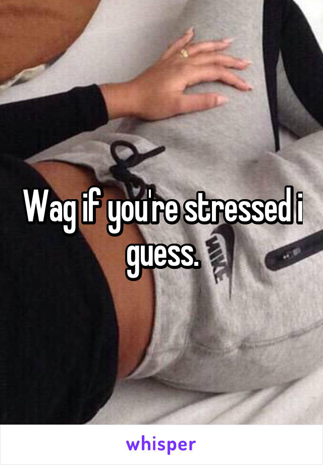 Wag if you're stressed i guess.