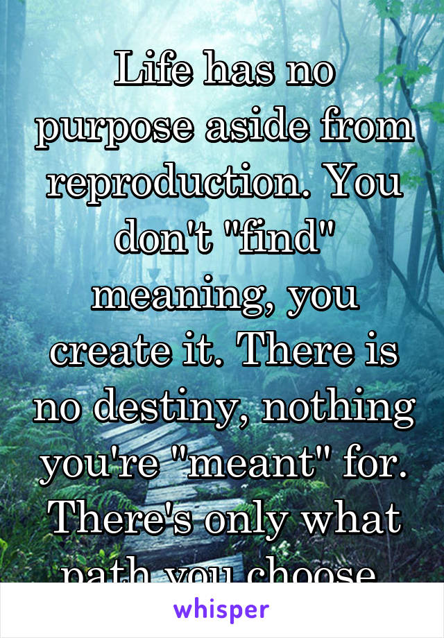 Life has no purpose aside from reproduction. You don't "find" meaning, you create it. There is no destiny, nothing you're "meant" for. There's only what path you choose.