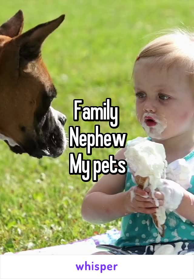 Family 
Nephew
My pets