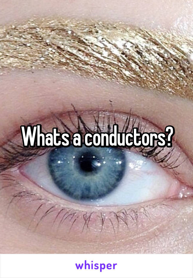 Whats a conductors?