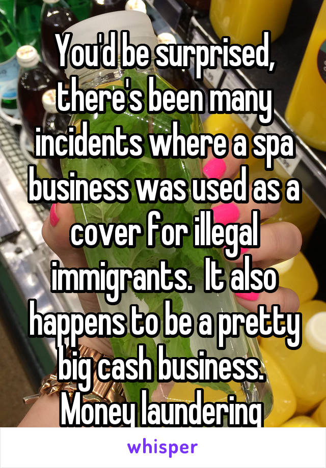 You'd be surprised, there's been many incidents where a spa business was used as a cover for illegal immigrants.  It also happens to be a pretty big cash business.  Money laundering 
