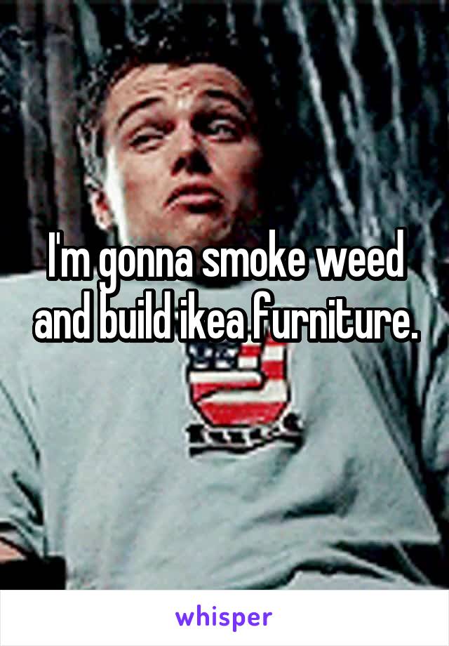 I'm gonna smoke weed and build ikea furniture. 
