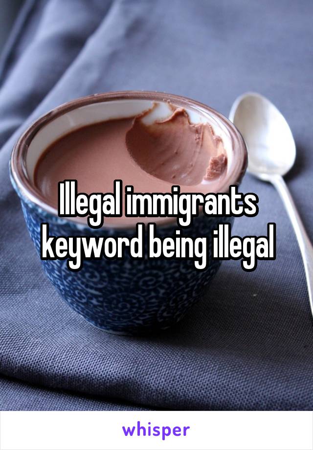 Illegal immigrants keyword being illegal