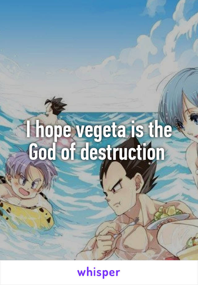 I hope vegeta is the God of destruction 