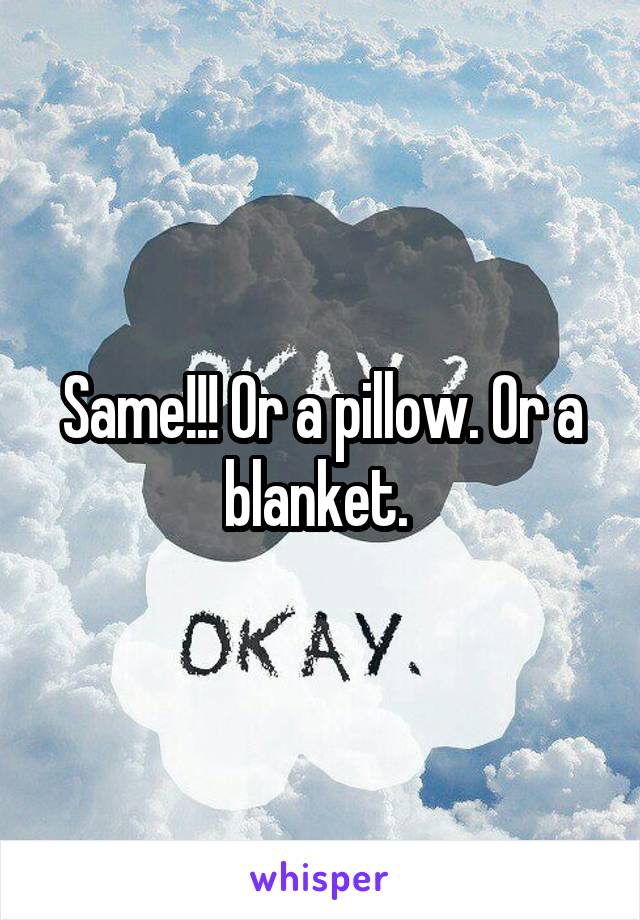 Same!!! Or a pillow. Or a blanket. 