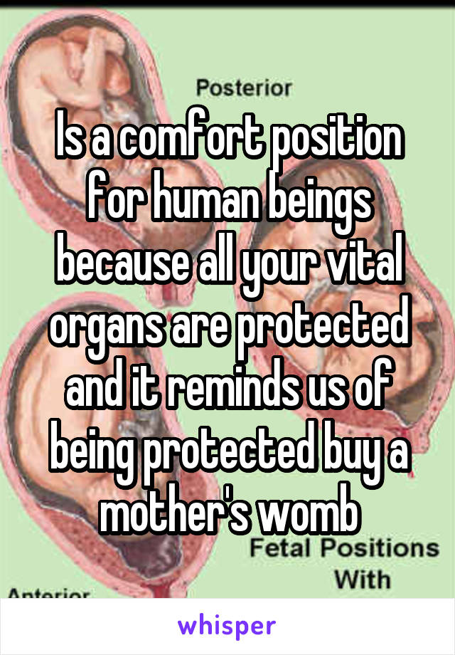 Is a comfort position for human beings because all your vital organs are protected and it reminds us of being protected buy a mother's womb