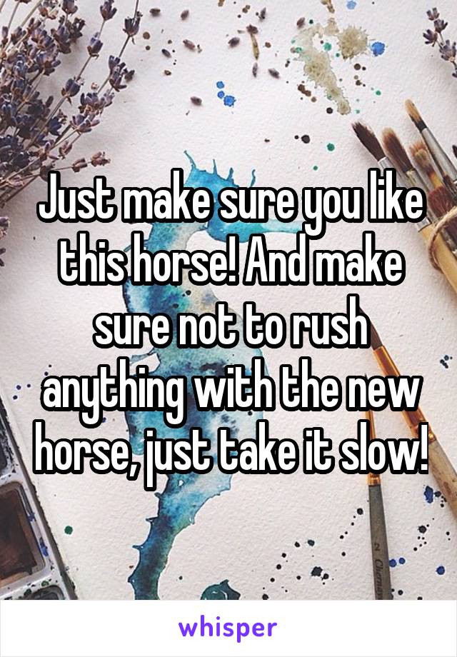 Just make sure you like this horse! And make sure not to rush anything with the new horse, just take it slow!