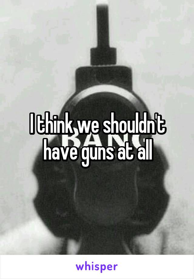 I think we shouldn't have guns at all