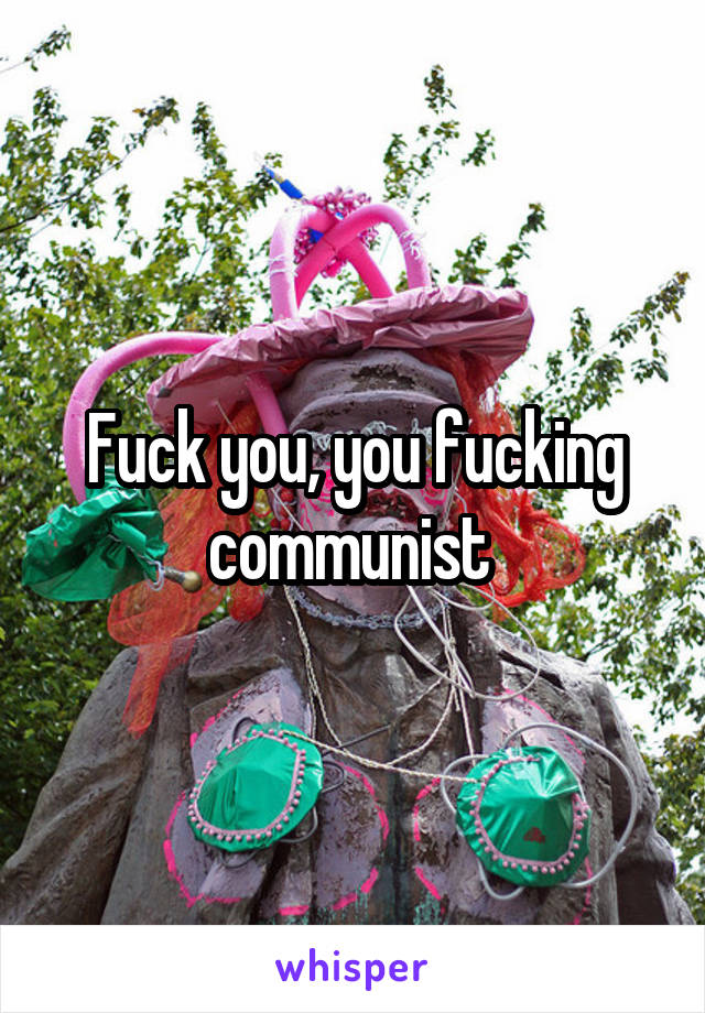 Fuck you, you fucking communist 