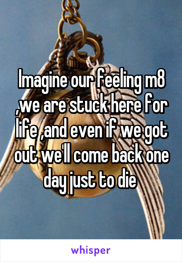 Imagine our feeling m8 ,we are stuck here for life ,and even if we got out we'll come back one day just to die 