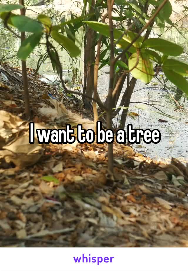 I want to be a tree
