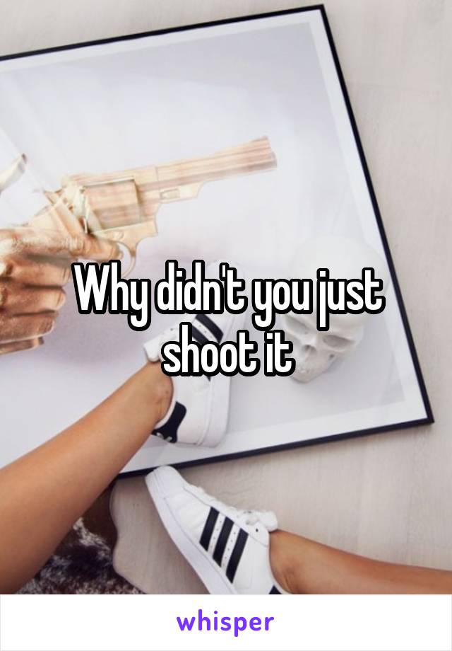 Why didn't you just shoot it