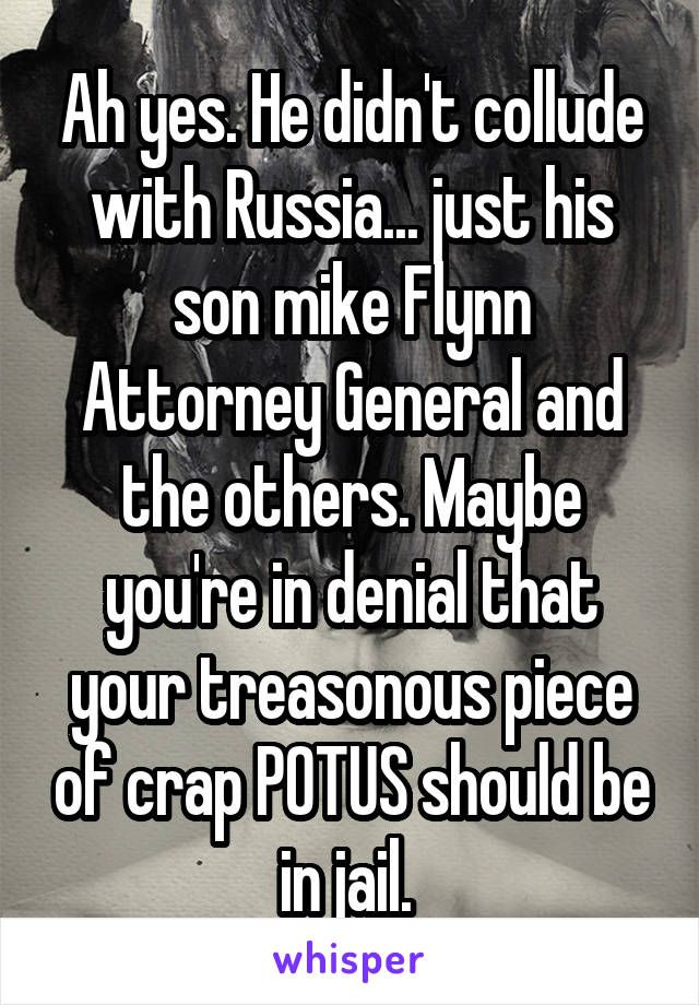 Ah yes. He didn't collude with Russia... just his son mike Flynn Attorney General and the others. Maybe you're in denial that your treasonous piece of crap POTUS should be in jail. 