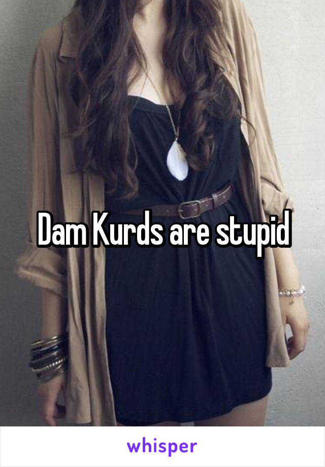 Dam Kurds are stupid