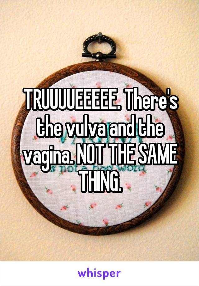 TRUUUUEEEEE. There's the vulva and the vagina. NOT THE SAME THING.